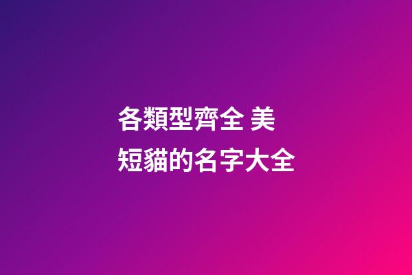 各類型齊全 美短貓的名字大全